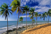 Praias da Costa Sol Poente do Cear&aacute;, tudo de bom! De Lagoinha &agrave; Munda&uacute;