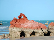 Praia de Ponta Grossa - Icapuí