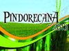 Pindorecana2013