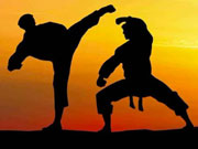 Artes Marciais