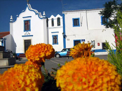 Messejana por entre as flores 